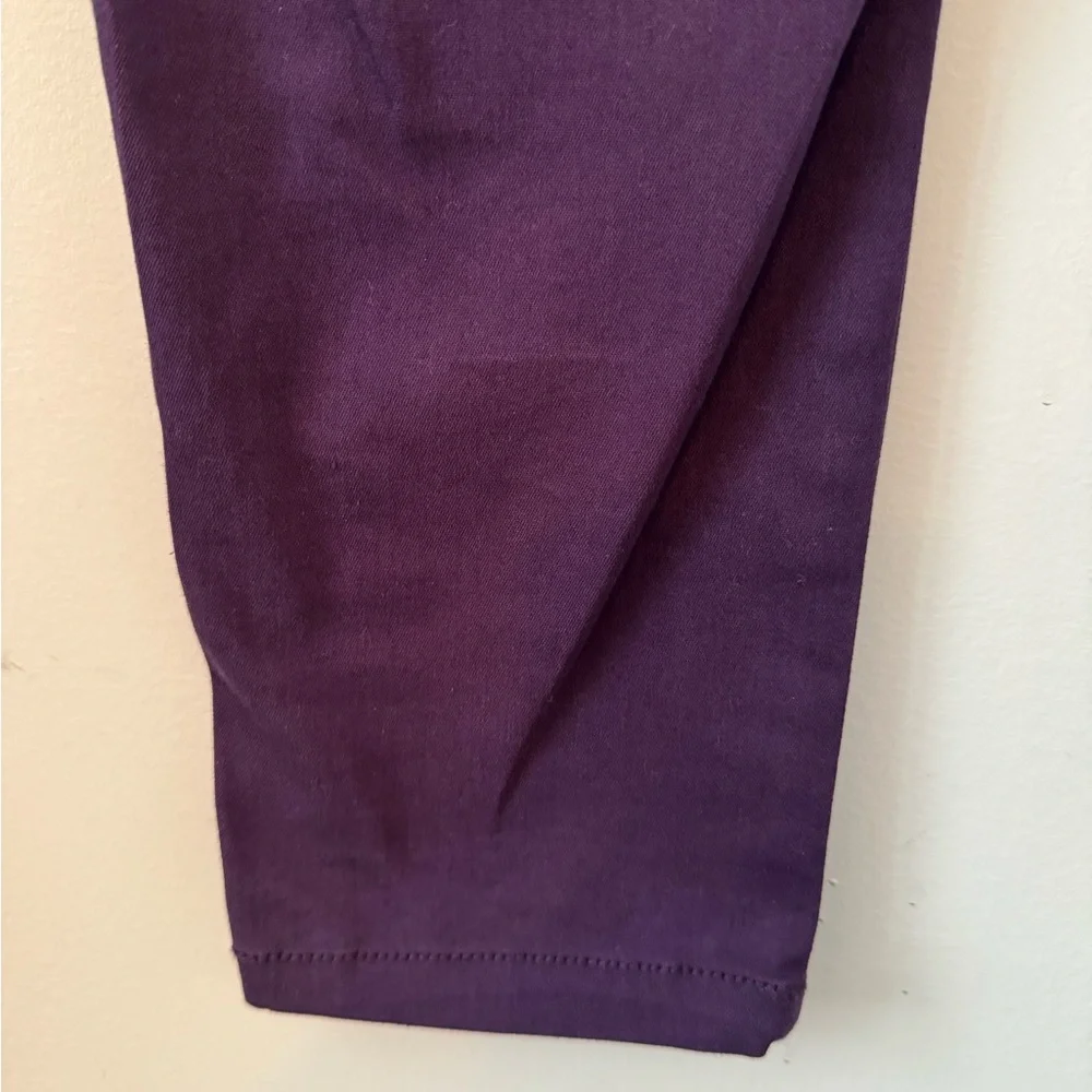 3/$20 Beau Dawson Women’s Purple Relaxed Fit Tapered Skinny Jeans NWT - Size 10P - Picture 5 of 10